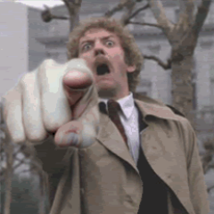 Sidwinder75's profile picture. Definitively inaccurate, T&Cs apply, bacon appreciator & O+ donor. Increasingly bewildered in a dystopian world. Aspiring astronaut. You voted for it. Pub? #pub