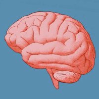 neuroself australia(@neuroselfAus) 's Twitter Profile Photo