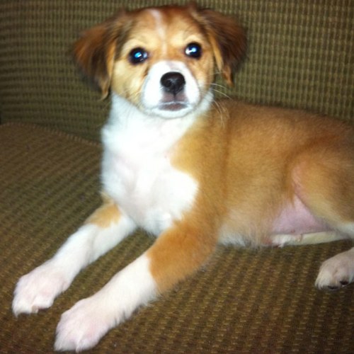 ElijahEmpathy's profile picture. 