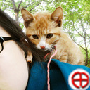 namoobii's profile picture. 고양이, 길냥이, 참고양이, 고양고양, 귀차니즘, 헤르만헤세, 나무, 식물, 퍼즐, 직소, 만화, 낙서, 베이스기타, swing-G1, 이상형은 울 동네 대장냥이.에서 콩신으로. 그나마 남자사람으로 발전됨.