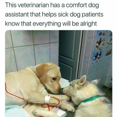 abu77805733's profile picture. never give up