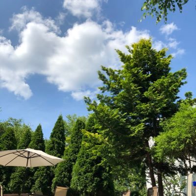 EndorseAndrewY1's profile picture. 