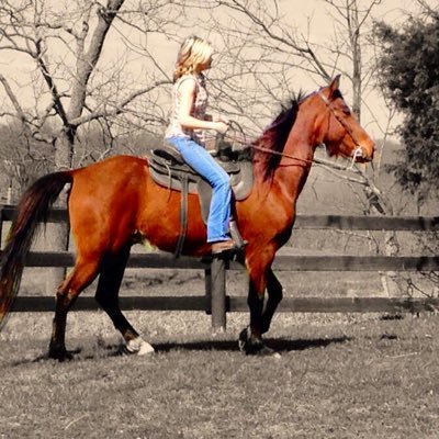 #BBN! | 🐎 Rider | Occasional Bourbon Drinker | Constitutionalist | Personal Responsibility Overachiever | Do No Harm But Take No Shit