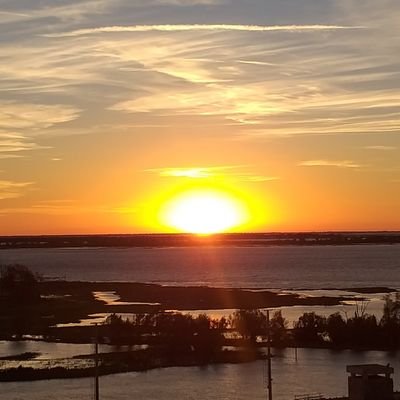 RoosArgentina's profile picture. 