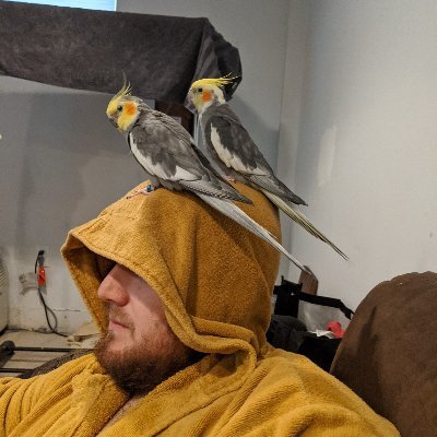 Chase Cook (The tiels are Poe and Stanley) Profile