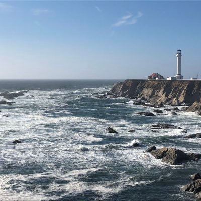 hockeypest81's profile picture. 