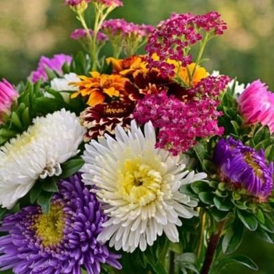 abdulhameed0659's profile picture. 