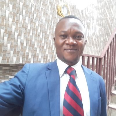 Journaliste et Blogueur
Directeur de la radio télé Zoé Mbujimayi, Responsable de KASAI NEWS TV/RDC