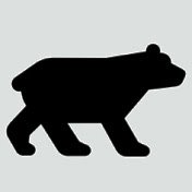 BlackBearNews1 Profile Picture