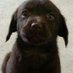 George McDoggy (@gmcdoggy) Twitter profile photo George McDoggy (@gmcdoggy) Twitter profile photo