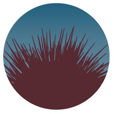 Optimizacion del cultivo del erizo de mar Paracentrotus lividus (OCIMER) en @CIM_uvigo financiado por MITECO, Fundación Biodiversidad, Programa pleamar y FEMP