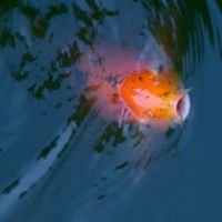 rpmohn's profile picture. stuff.