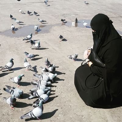 Islam. Wifey. Hyderabadi. Cat mom. Rice all day errday.