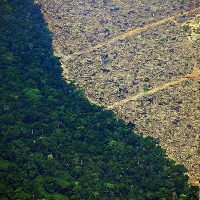 DontKillTrees01's profile picture. We are a group of highschoolers who disagree with the use of deforestation and are fighting for extended law's to bring a stop to deforestation.