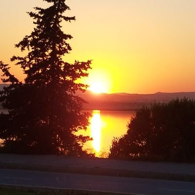 flamingodxb's profile picture. 