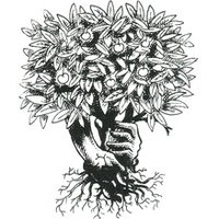 Seeding our Future (@seedingourfutur) 's Twitter Profile Photo