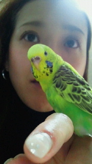 石澤美樹 小林 Mikiishizawa Twitter