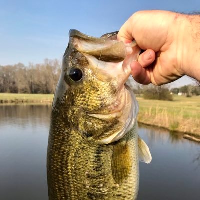 BaitTackleBiz's profile picture. Your voice for the fishing tackle retailer and manufacturer. Come visit us.