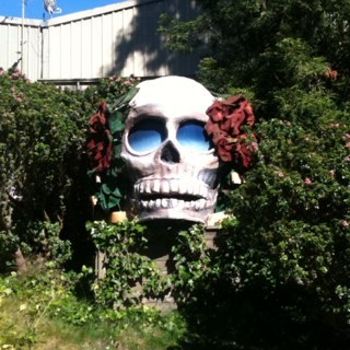 raiderdboy's profile picture. Christ First