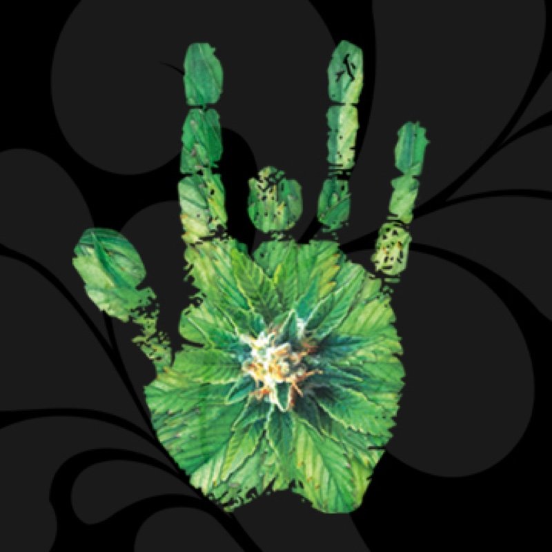 The official Twitter of Jerry Garcia's signature cannabis collection. Coming Summer 2020!