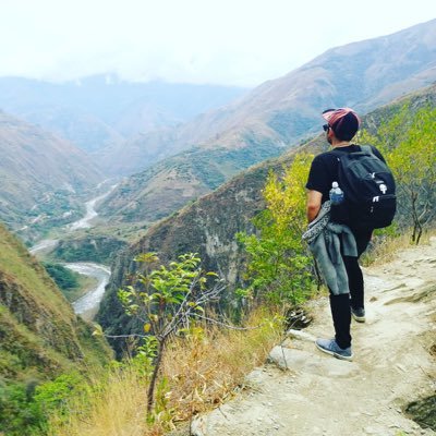 nicolasig's profile picture. 