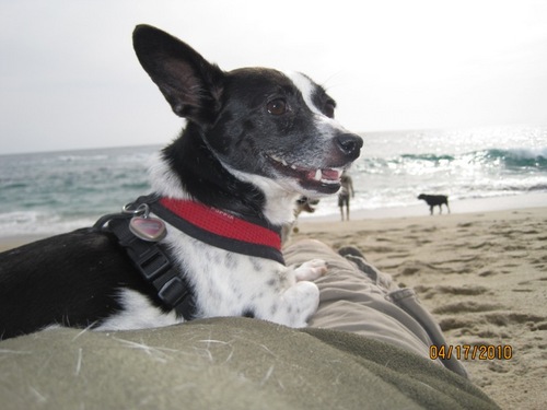 gigiaxline's profile picture. 