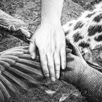 YohunnoF's profile picture. https://t.co/2yv7ujKNZv