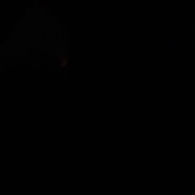 Leleh_171's profile picture. 🤯❤