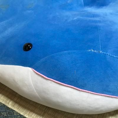Javaは自学、Pythonは研修でがっつり、ネットワーク系は自学で勉強中。30代です。今データベース少し触らせていただいてます。実力不足は勉強して追いつかないといけない。ひょんなことから猫を飼い今ではメロメロ🐈個人開発の領域に足を踏み入れました😂