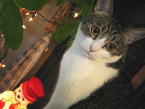 raion1101's profile picture. 