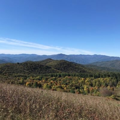 GoEers03's profile picture. 