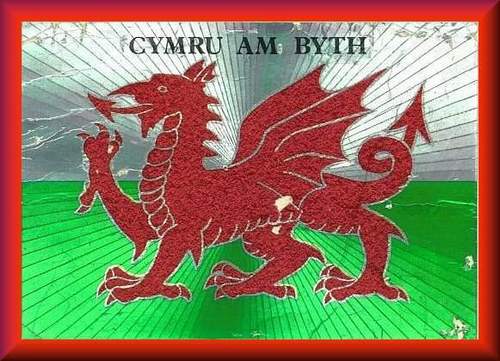 Saracens and Wales rugby supporter