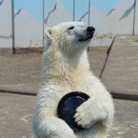 Next's (@nexts19) 's Twitter Profile
