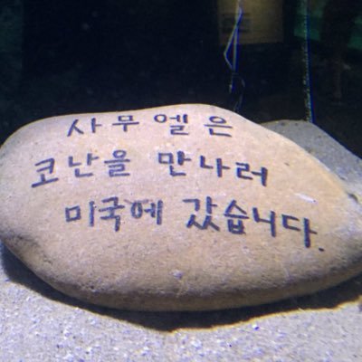 samuel_octopus's profile picture. 당신 인생도 달라질 수 있어요