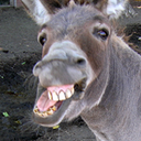 MARK GOODING - @EYELUVPOLE - Twitter