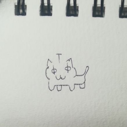 ぬこさんのプロフィール画像
