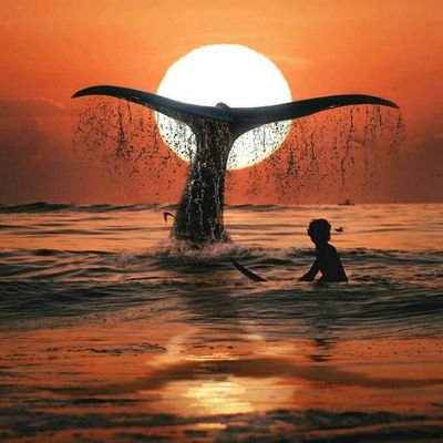 Pablito44504821's profile picture. No me gusta la Política en ningún aspecto,es corrupta,pero no me gustan las diferencias y abusos sociales..! Chuncho de corazón y amante de la Música..!