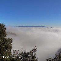 Enric Duaso Magaña (@20848edm) 's Twitter Profile
