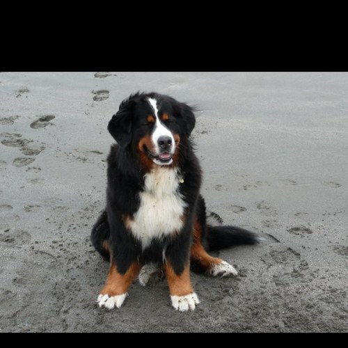 Dubs2249's profile picture. 