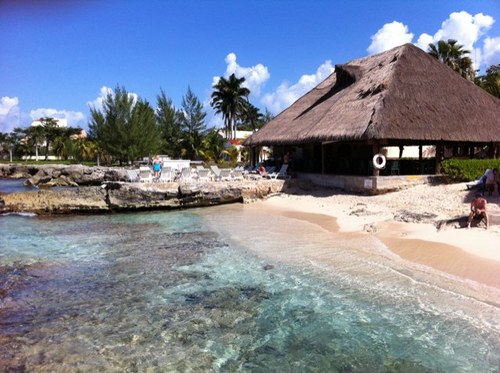 valimiu's profile picture. 