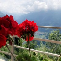 بيان (@bayanj1993) 's Twitter Profile Photo