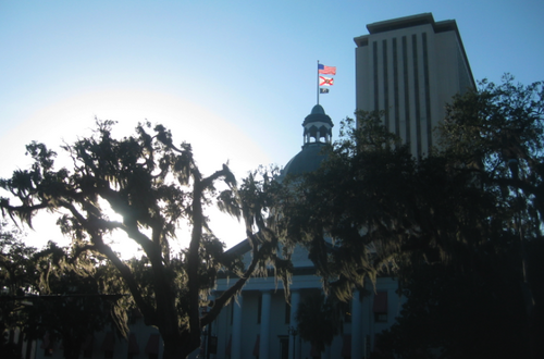 Discovering Tallahassee one day at a time.