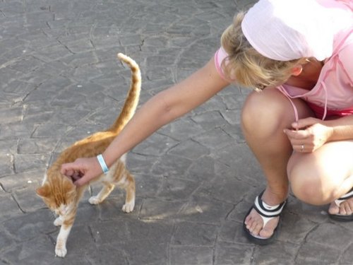 jackywagenaar's profile picture. 