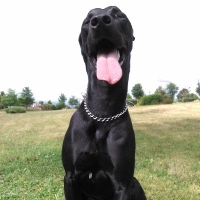 acorama's profile picture. 