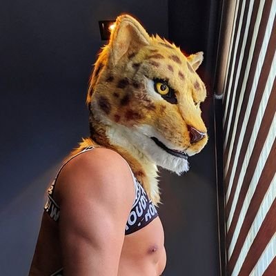 Alternate account of the spotty cat @Cheetah_paws #NSFW 18+
★ Fitness progress ★ Fursuit ★ Art ★ https://t.co/PqDYSj2bPJ