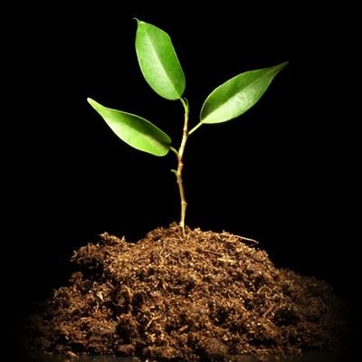 rolexcason's profile picture. seems too good to be true