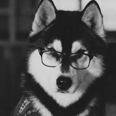 qqq13673978's profile picture. 