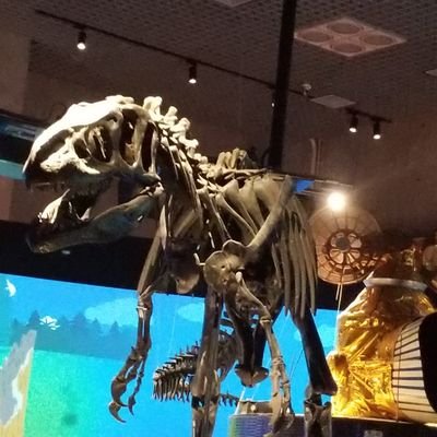 バンブルビーさんのプロフィール画像