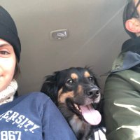 Blair Stone (@b1air5tone55) 's Twitter Profile