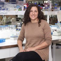 Chemes Lab (@chemeslab) 's Twitter Profile Photo Chemes Lab (@chemeslab) 's Twitter Profile Photo